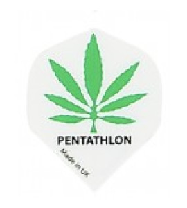 Pentathlon 10 sets 2036