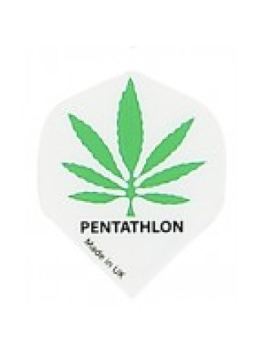 Pentathlon 10 sets 2036