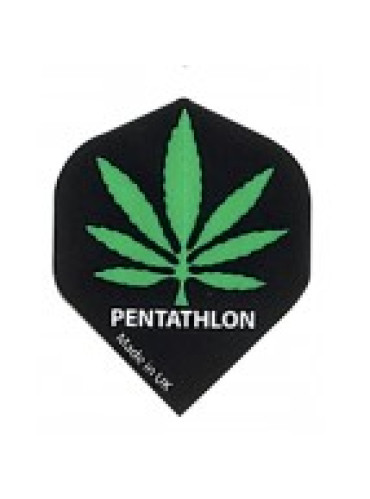 Pentathlon 10 sets 2037