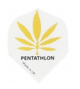 Pentathlon 10 sets 2035