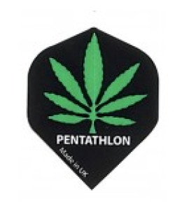 Pentathlon 10 sets 2037